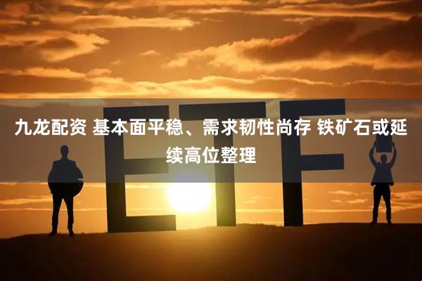 九龙配资 基本面平稳、需求韧性尚存 铁矿石或延续高位整理