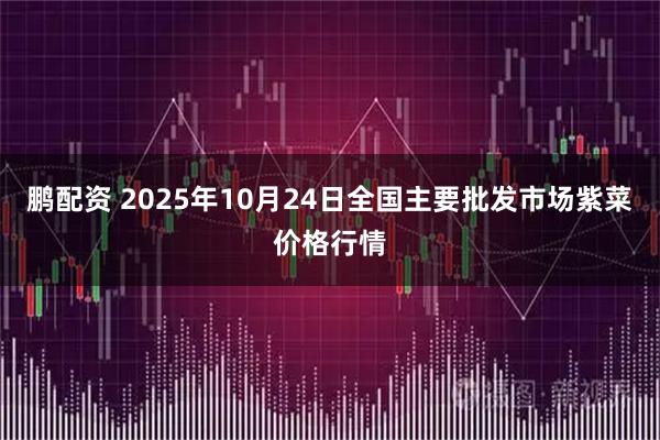 鹏配资 2025年10月24日全国主要批发市场紫菜价格行情