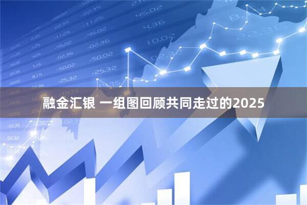 融金汇银 一组图回顾共同走过的2025