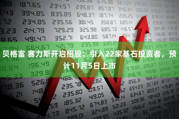 贝格富 赛力斯开启招股：引入22家基石投资者，预计11月5日上市